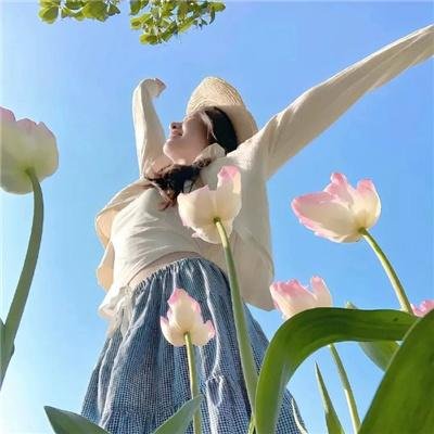 黄土高天